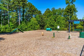 Dog park